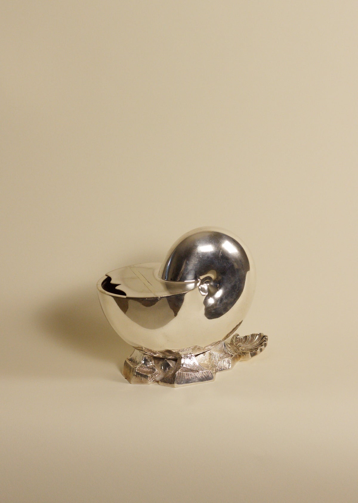 Nautilus Shell Silver-Plated Spoon Warmer